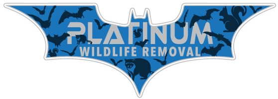Wildlife Removal Warrick County